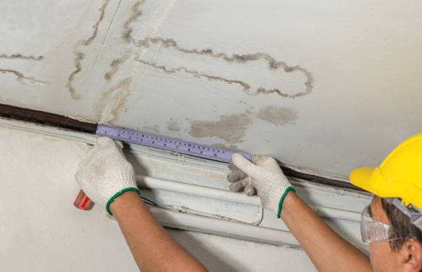Reliable Burst Pipe Cleanup contractor in Hazel Green, AL by Water Damage Irwin